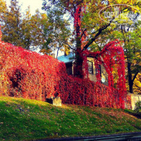 фото из отзыва ID 1303038