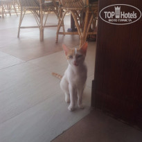 фото из отзыва ID 1303187