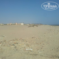 фото из отзыва ID 1303187