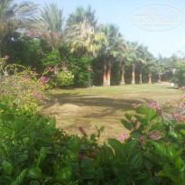 фото из отзыва ID 1303187