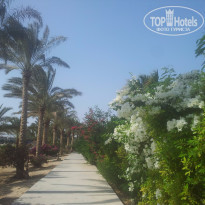 фото из отзыва ID 1303187