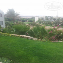 фото из отзыва ID 1303187