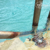 фото из отзыва ID 1303322