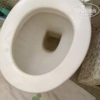 фото из отзыва ID 1303322