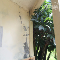 фото из отзыва ID 1303322