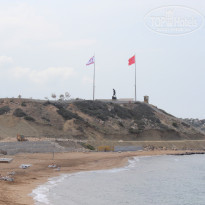 фото из отзыва ID 1303357