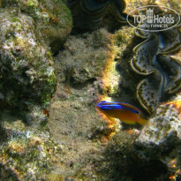 фото из отзыва ID 1303446