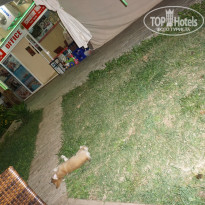 фото из отзыва ID 1303473