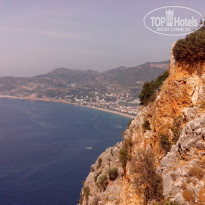 фото из отзыва ID 1303632