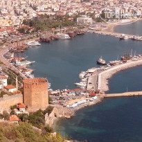 фото из отзыва ID 1303632