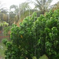 фото из отзыва ID 1303223