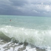 фото из отзыва ID 1303655