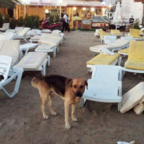 фото из отзыва ID 1303885