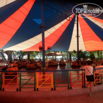 фото из отзыва ID 1303939