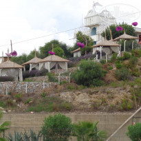 фото из отзыва ID 1304025