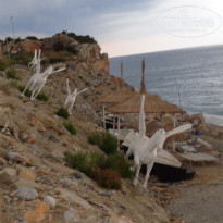 фото из отзыва ID 1304025