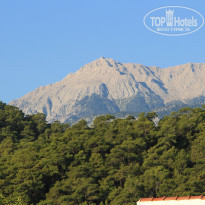 фото из отзыва ID 1304026