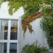 фото из отзыва ID 1304554