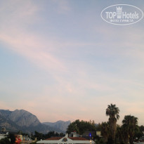 фото из отзыва ID 1304700