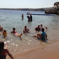 фото из отзыва ID 1303261