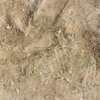 фото из отзыва ID 1304761