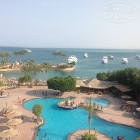 фото из отзыва ID 1304291