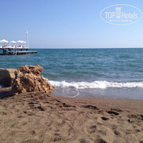 фото из отзыва ID 1304829