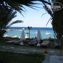 фото из отзыва ID 1304842