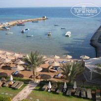 фото из отзыва ID 1304842