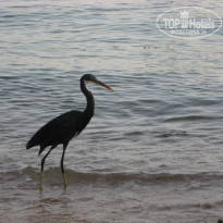 фото из отзыва ID 1304842