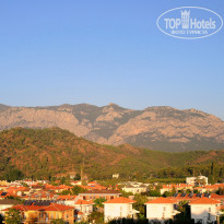 фото из отзыва ID 1304908