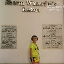 фото из отзыва ID 1305117