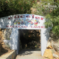 фото из отзыва ID 1305300