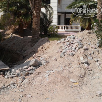 фото из отзыва ID 1305347