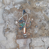 фото из отзыва ID 1305347