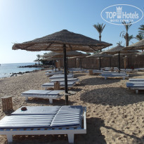 фото из отзыва ID 1305354