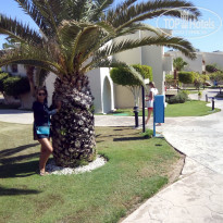 фото из отзыва ID 1305371