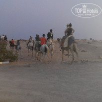 фото из отзыва ID 1305448