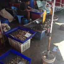 фото из отзыва ID 1305511