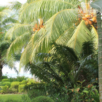 фото из отзыва ID 1305580