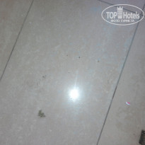 фото из отзыва ID 1305586