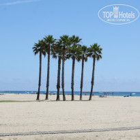 фото из отзыва ID 1304478