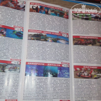 фото из отзыва ID 1305712