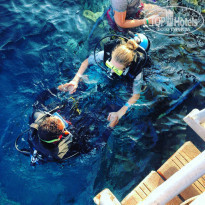 фото из отзыва ID 1305677