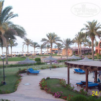 фото из отзыва ID 1306447