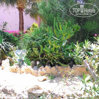 фото из отзыва ID 1306637