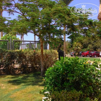 фото из отзыва ID 1306637