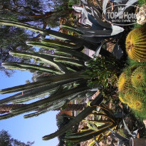 фото из отзыва ID 1306637