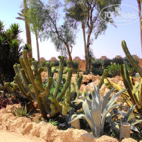 фото из отзыва ID 1306637