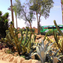 фото из отзыва ID 1306637